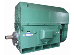龙山Y系列6KV高压电机